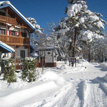 Alpine Wind Bed & Breakfast Hakuba Dış mekan fotoğraf