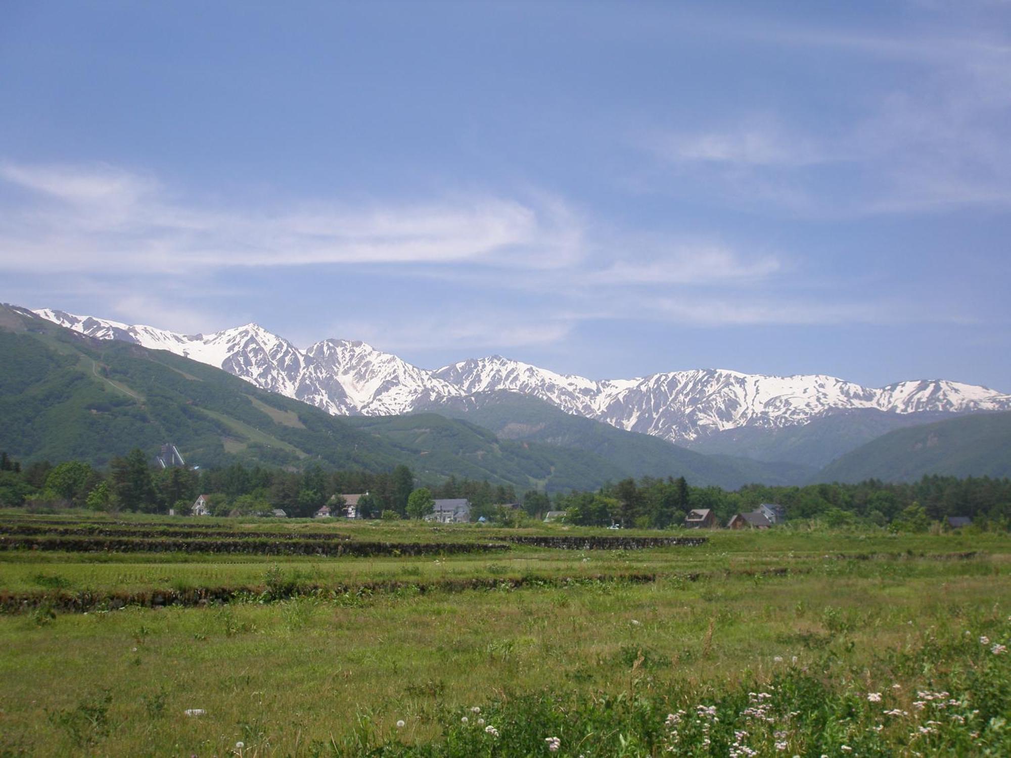 Alpine Wind Bed & Breakfast Hakuba Dış mekan fotoğraf